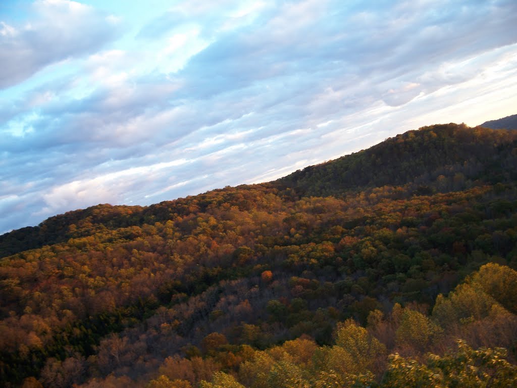 Autumn at the Edge by Michael Gossett