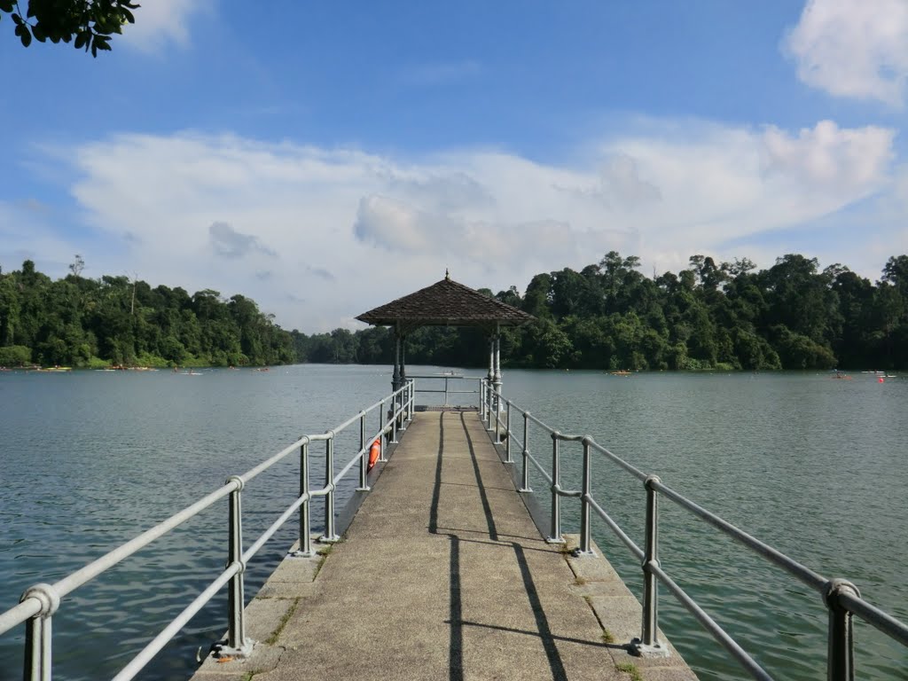 MacRitche Reservoir by Walter Wu