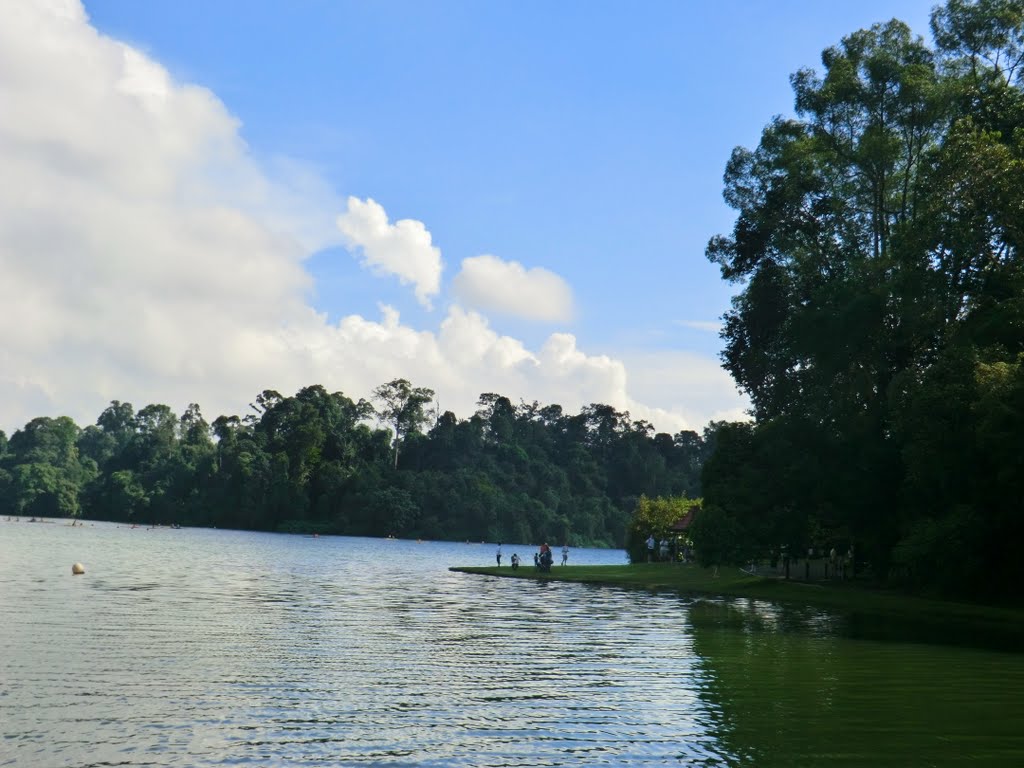 MacRitche Reservoir by Walter Wu