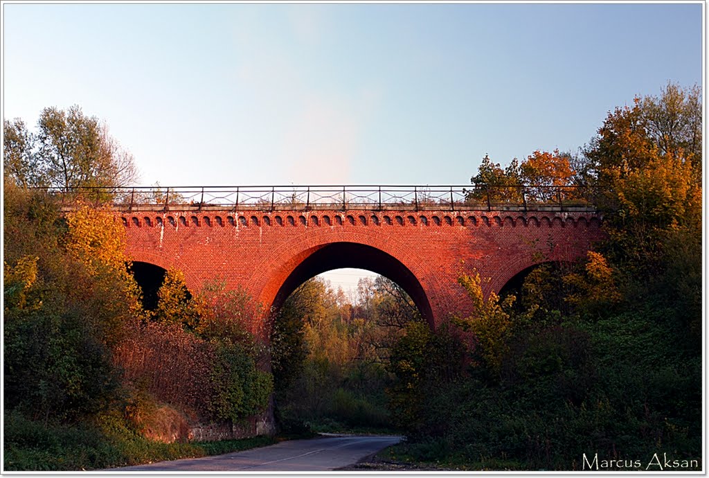 Bridge train (Fall 2011) by Marcus Aksan