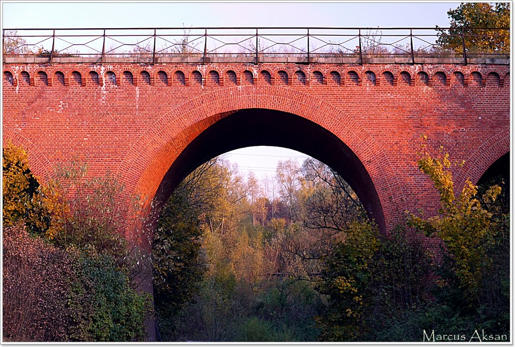 Bridge train (Fall 2011) by Marcus Aksan