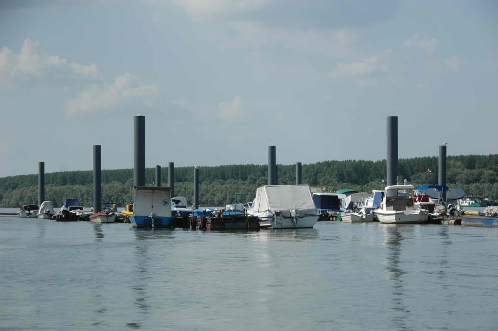 Marina Nautičar u Zemunu na Dunavu by Teča sa Dunava