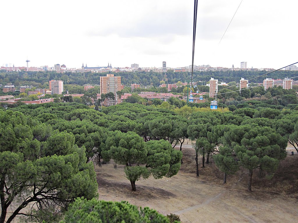 Casa de Campo, Madrid, Spain by pdelaf