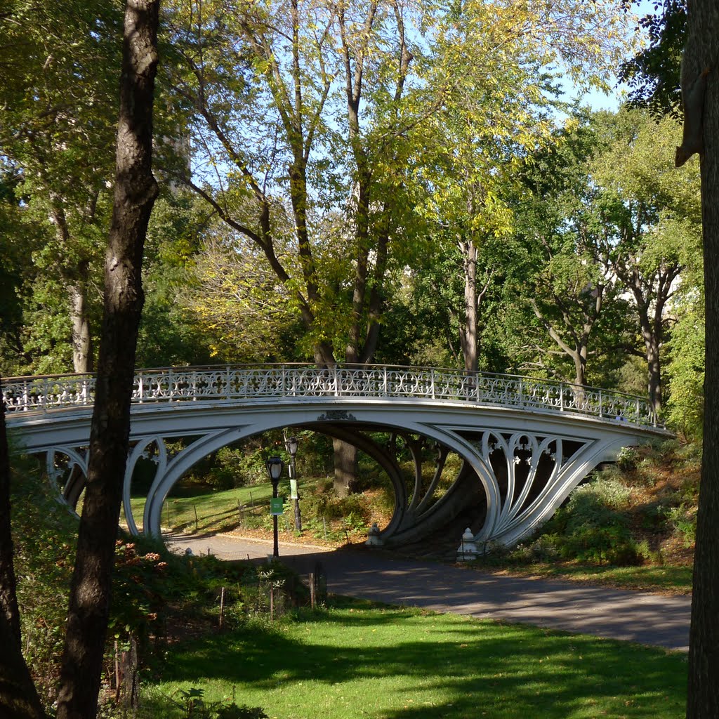 Central Park by densil