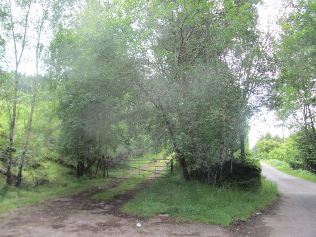 Alastair Crowley's driveway, Loch Ness by ErrolHunt