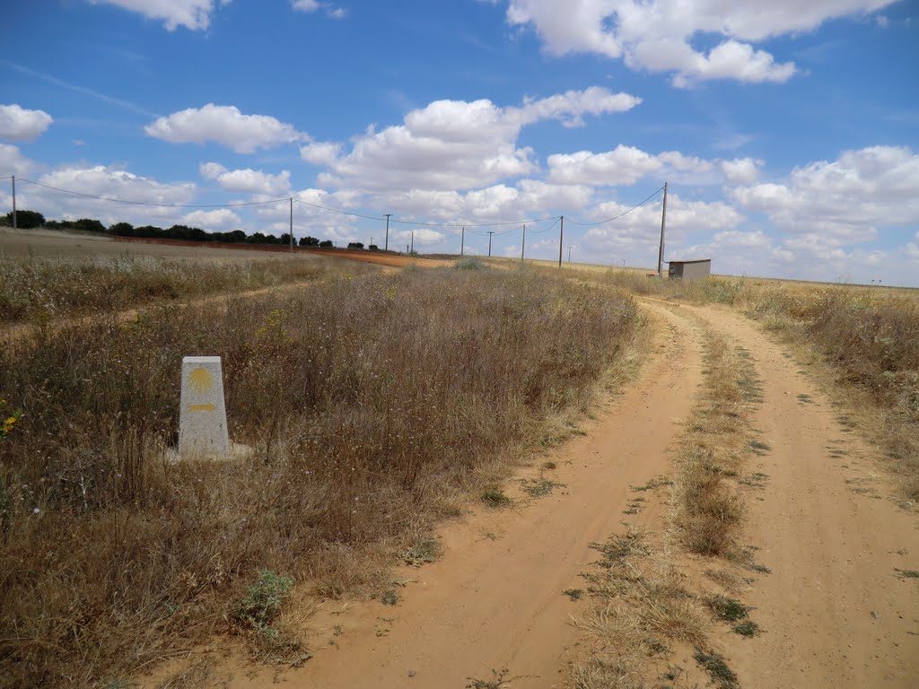 San Cebrián de Castro, Zamora, Spain by Pedro Maza Gómez