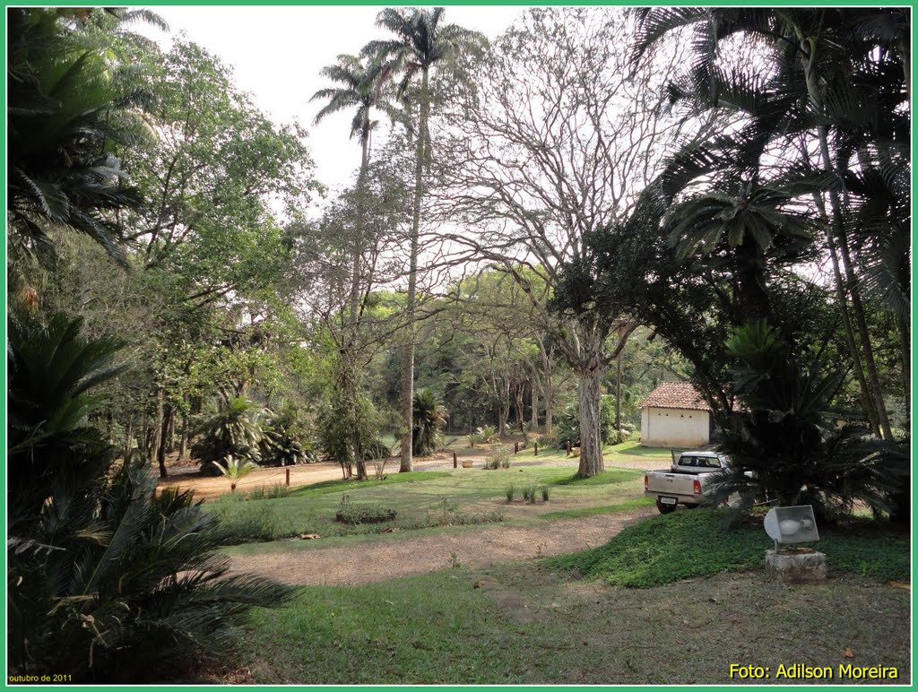 Fazenda Morro Azul - Foto: Adilson Moreira by adilson moreira