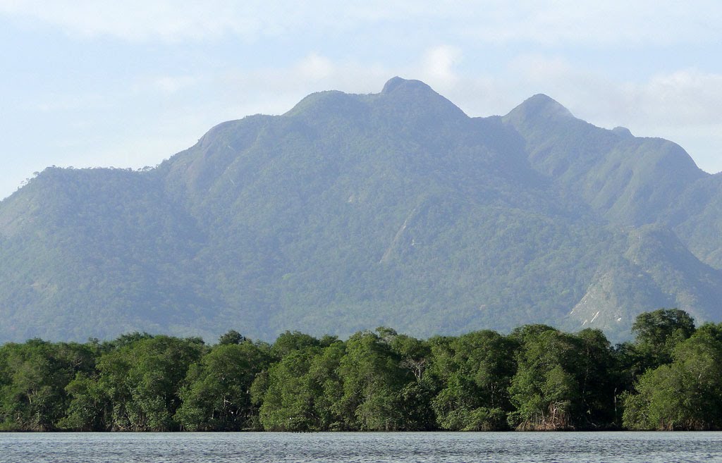 MANGUEZAL - VITÓRIA - ESPÍRITO SANTO by Robson Barros Torres