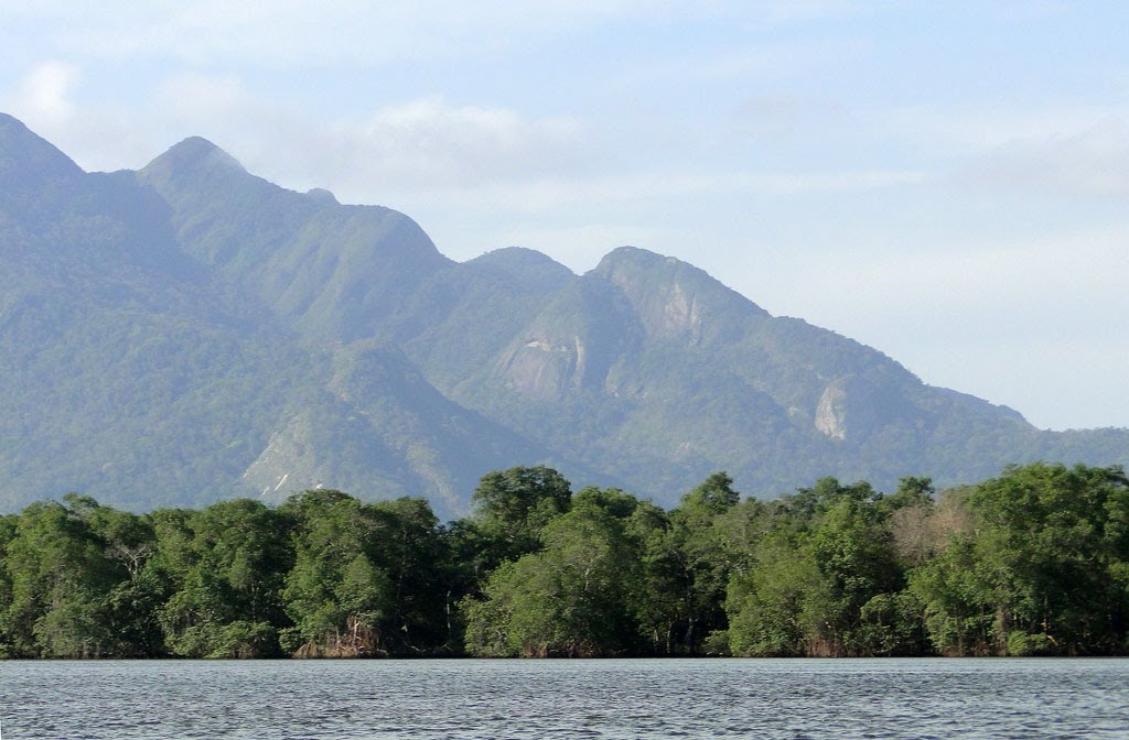 MANGUEZAL - VITÓRIA - ESPÍRITO SANTO by Robson Barros Torres