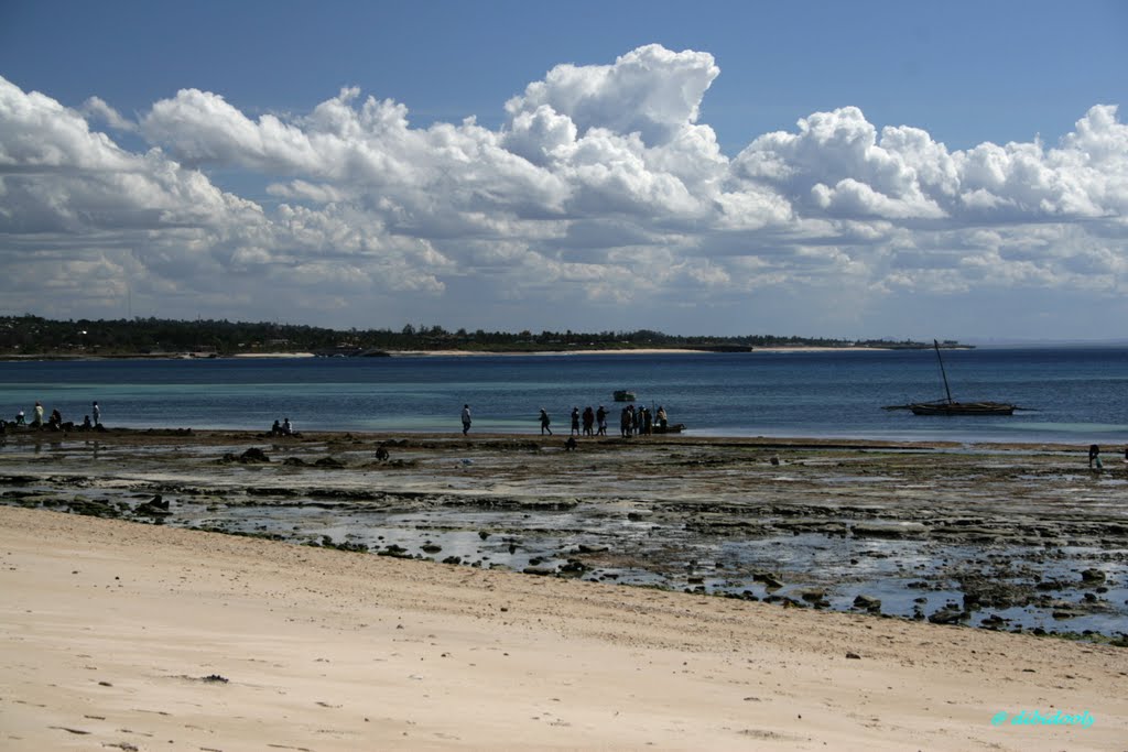 Praia do wimbe by Dolores Boroni