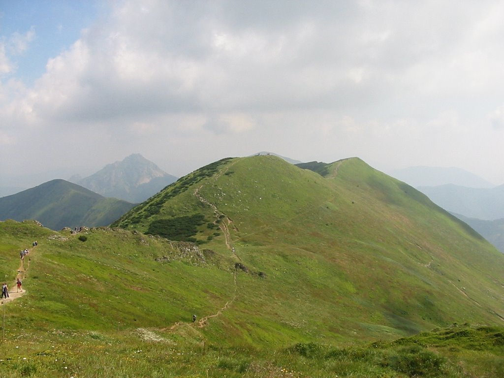 Ridge in Fatra by Csatári Bálint