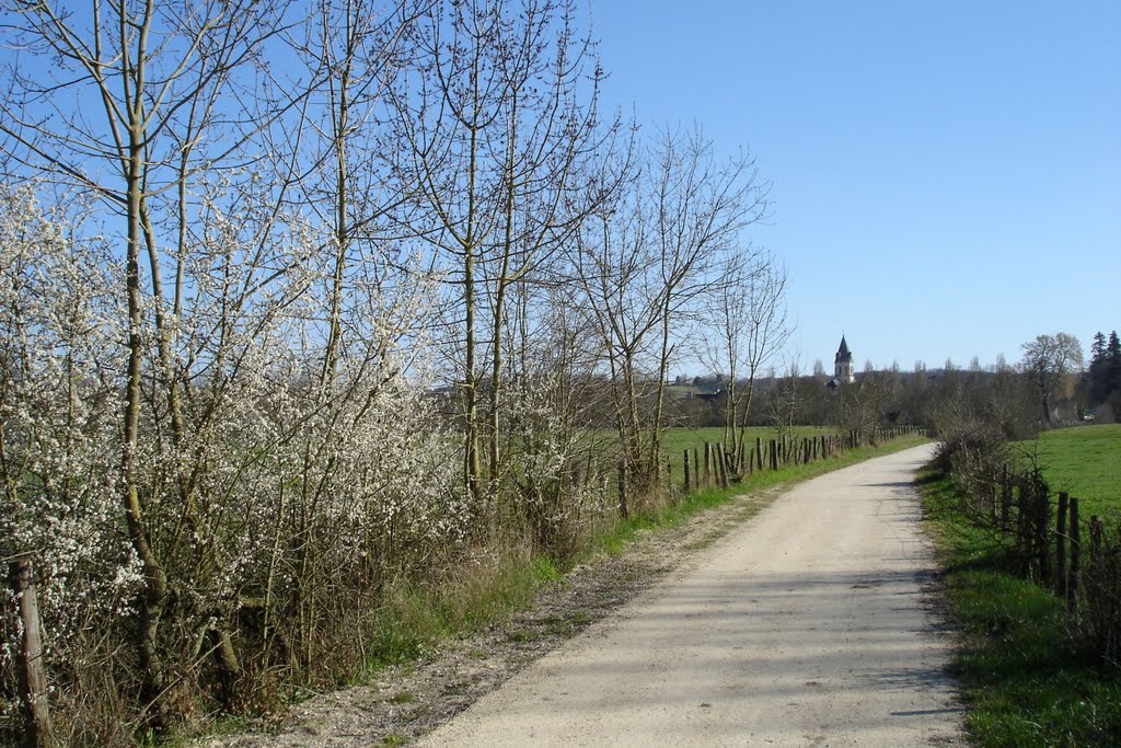 Chemin entre Loire et village, Saint-Rémy la Varenne by Jeremie Lecru