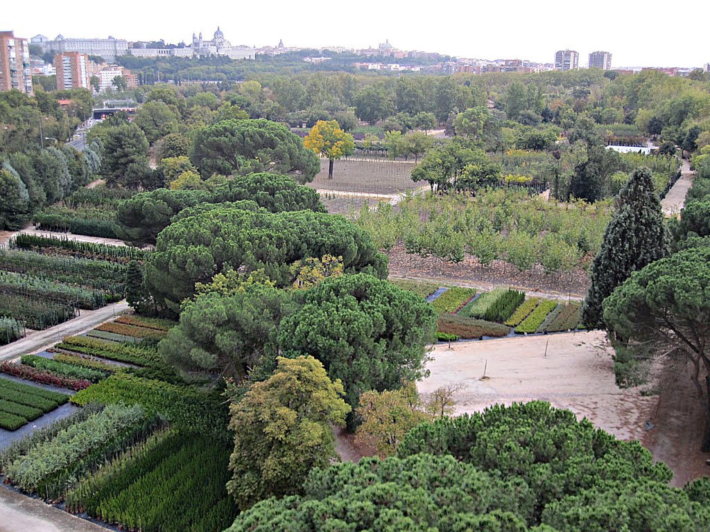 Casa de Campo, Madrid, Spain by pdelaf