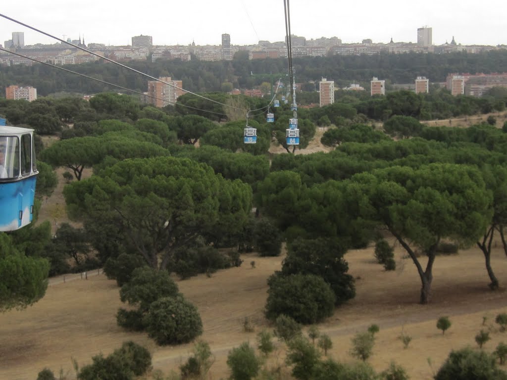 Casa de Campo, Madrid, Spain by pdelaf