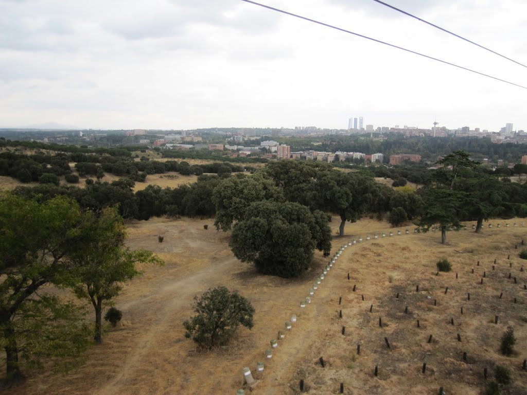 Casa de Campo, Madrid, Spain by pdelaf