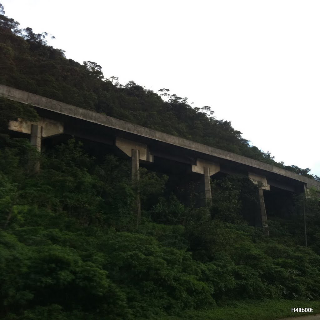 Caminho do Mar - SP by FernandoSantos