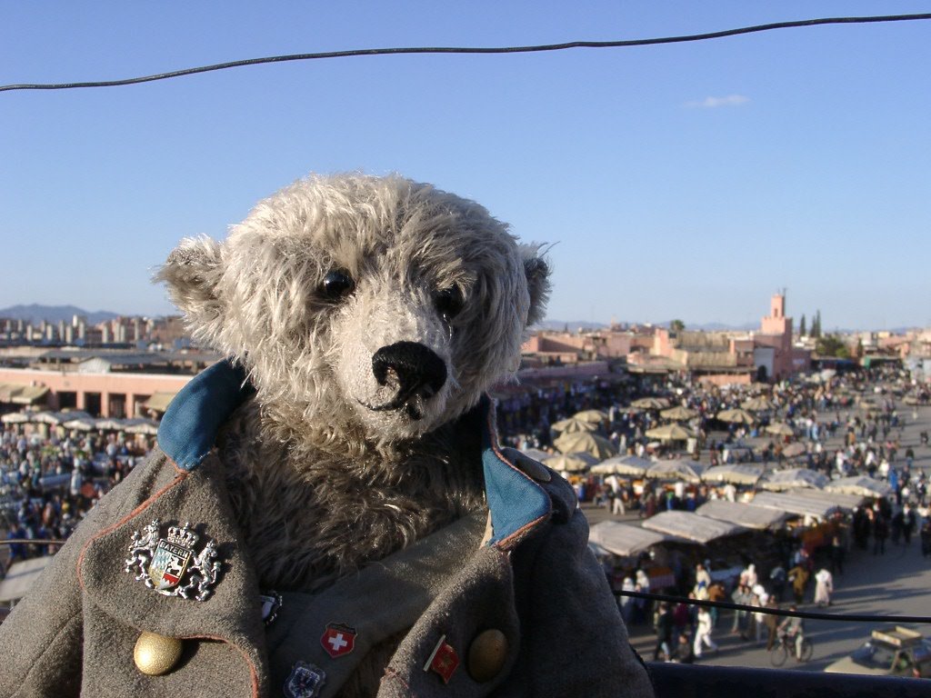 Honk in Marrakech by Teddy Bear Museum