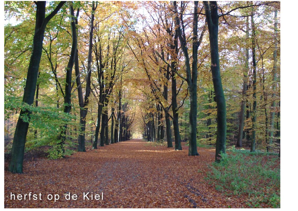 Herfstkleuren bij het 7 markenpunt by renkje