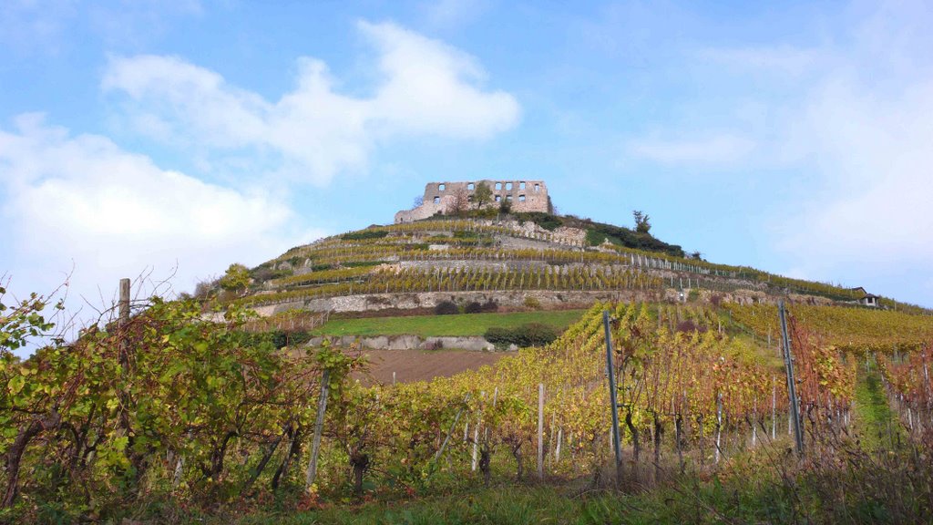 Blick von Staufen auf die Burg by Juergen Ketterer