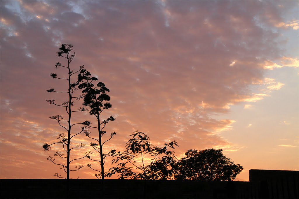 Pretoria dawn by Daan Prinsloo