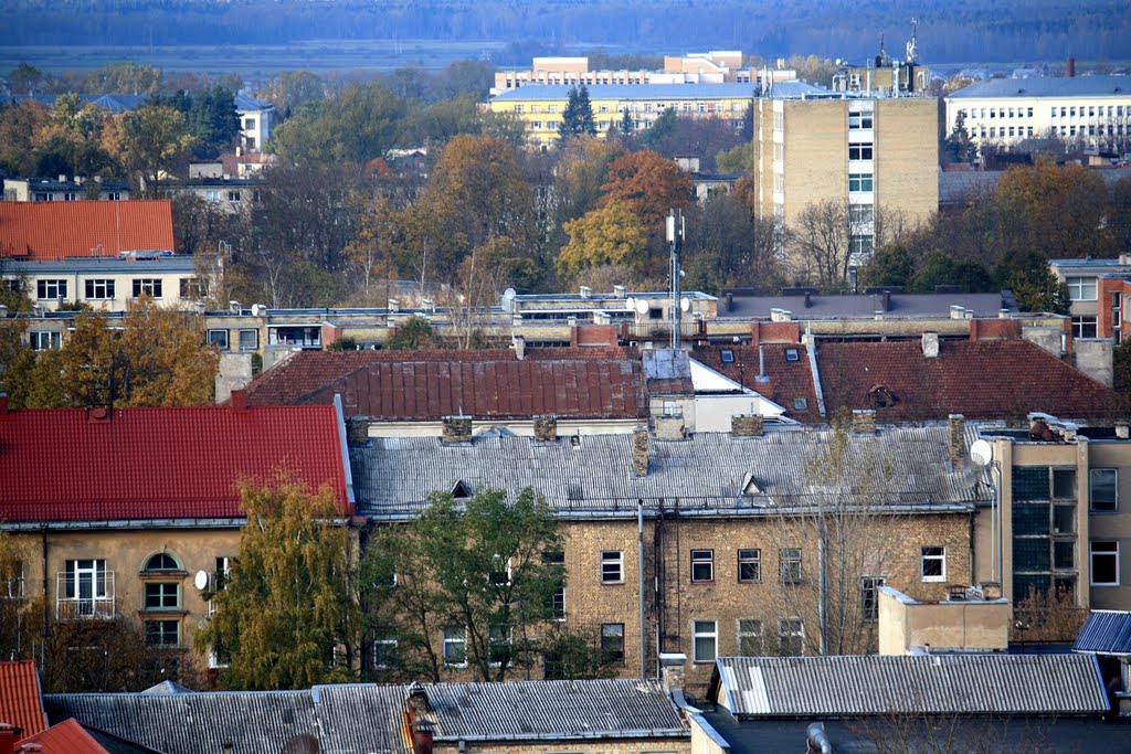 Šiauliai, Lithuania by Augustinas Plikis