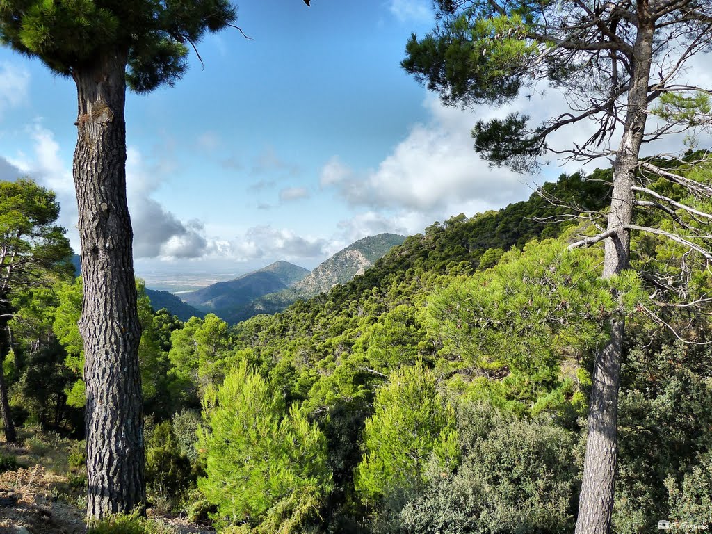 Sierra Espuña by Eduardo Enguita