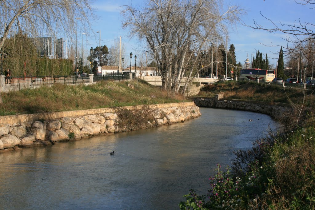 Canal Imperial by Jesús Calvo Domíngue…