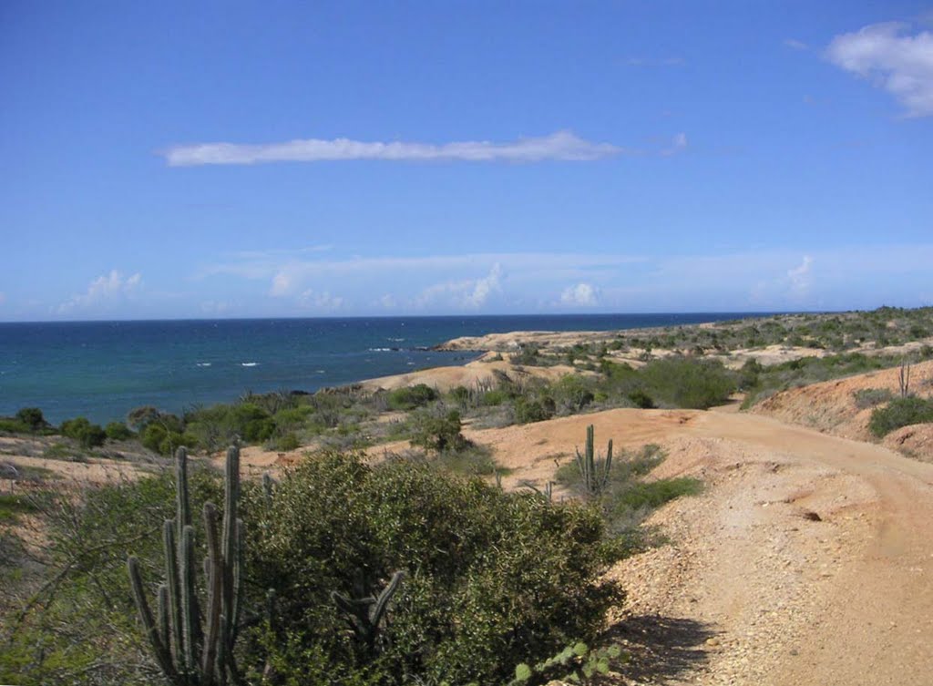 Coast view in Macanao by DBrian