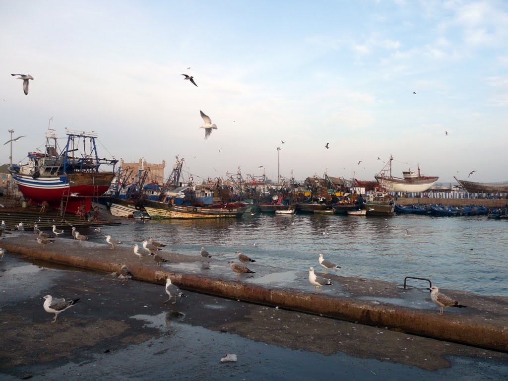 Fishing Boats in Essaouira Port by Niels de Koe