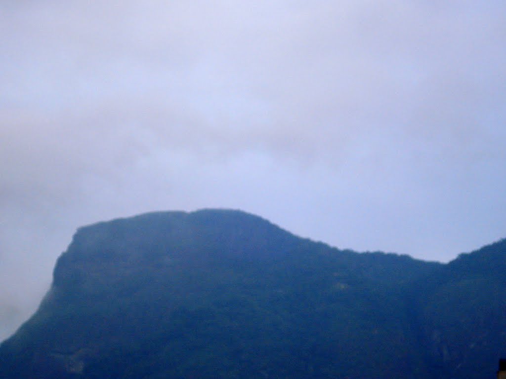 ITANHANGÁ HILL - SÃO CONRADO - RIO DE JANEIRO CITY - BRASIL by Ana Galvao