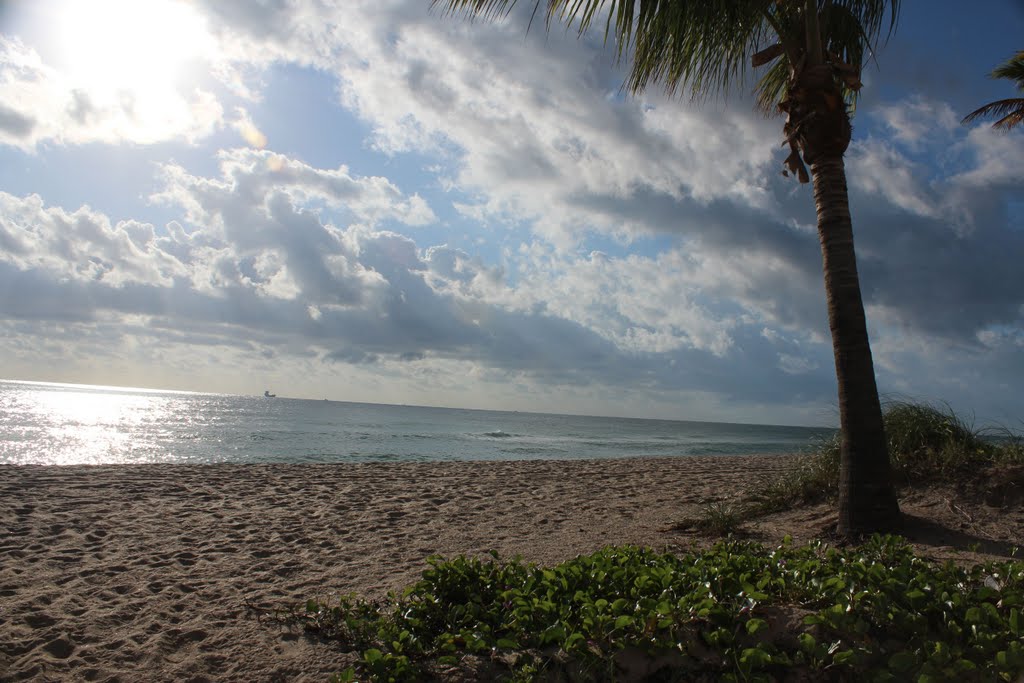 My Fort Lauderdale Beach by goodjon