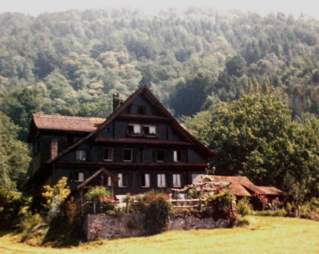 Walchwil, Switzerland by Renato Trench