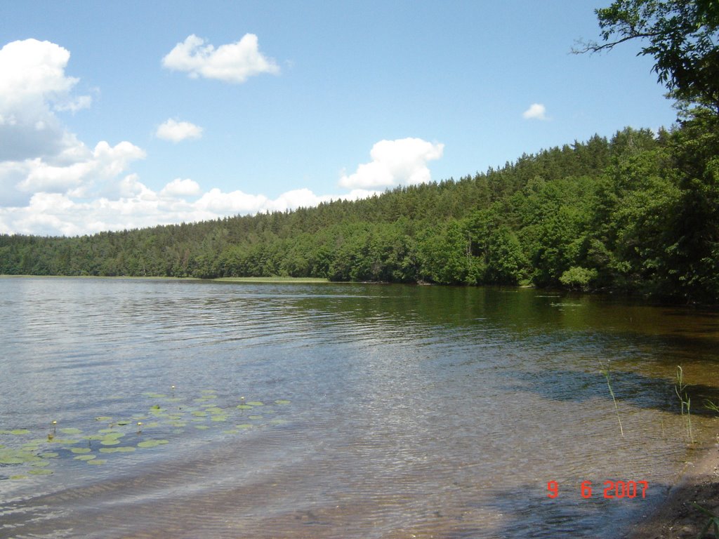 Ignalina, Dringis lake by arvydas