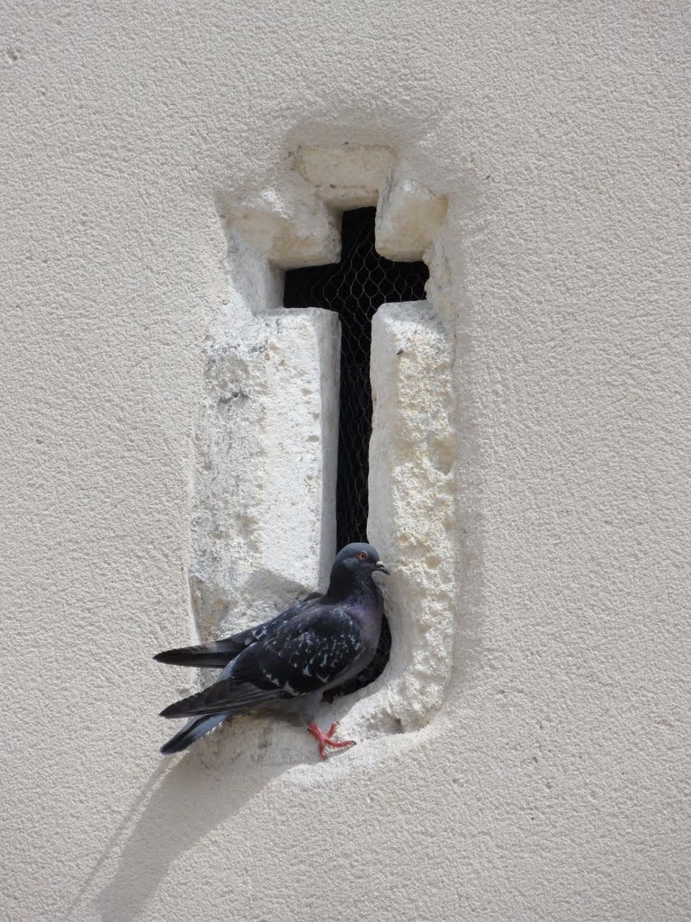 Pont de Cheruy. Peut être voulait-il se prendre pour le pigeon de la paix by Marc Lacelle