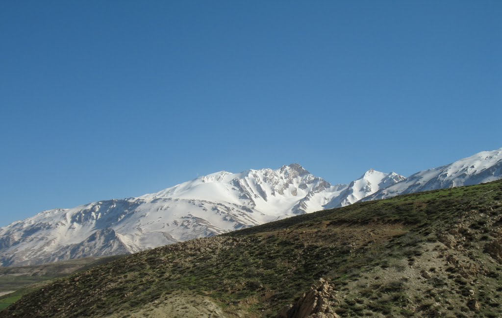 زردکوه by ganjinehpanorama