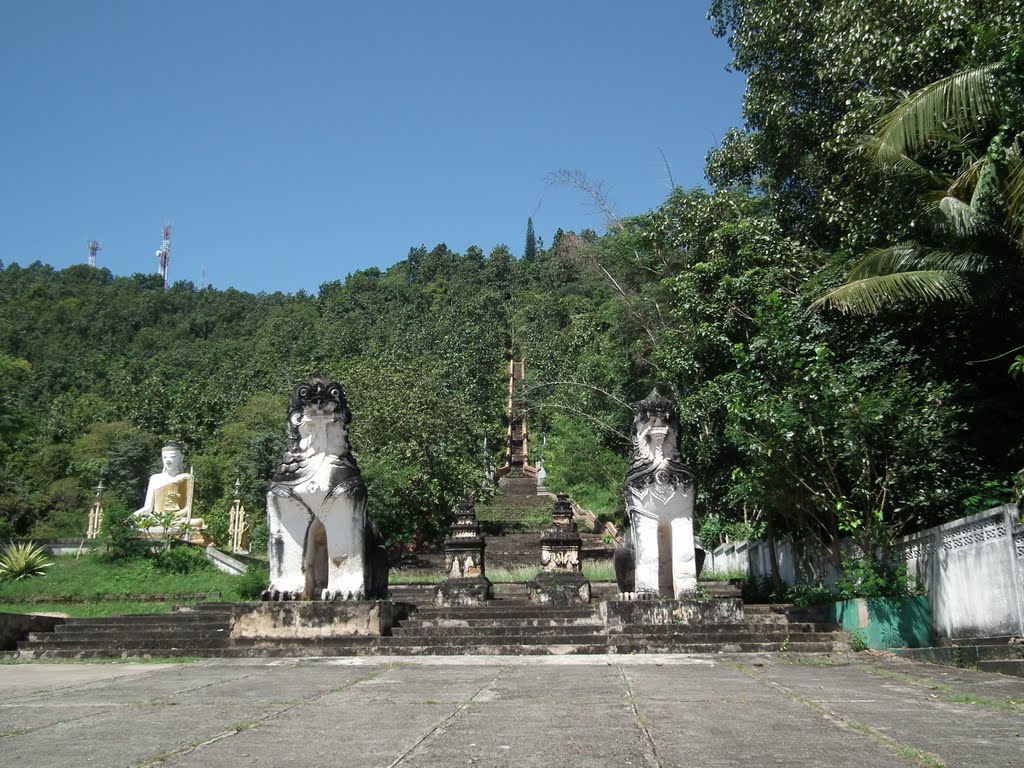 The Naga Steps at Wat Phra Norn by pr8ngkiet