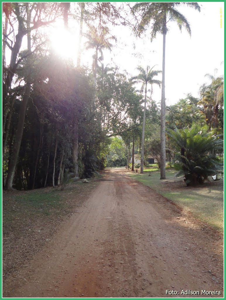 Fazenda Morro Azul - Foto: Adilson Moreira by adilson moreira