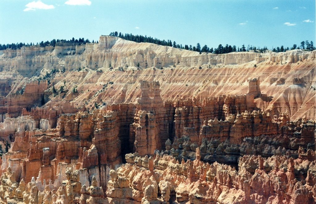 Bryce Canyon National Park by Jean-Pierre T