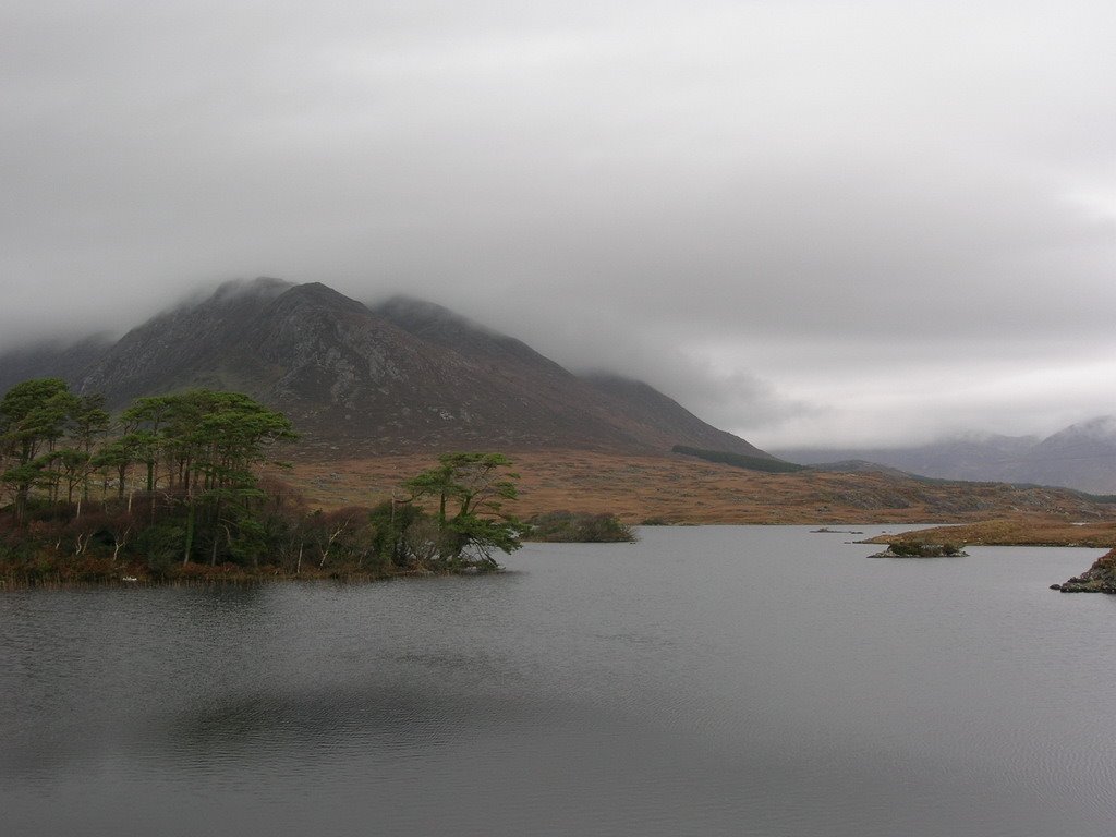 Connemara, National Park by lukzar