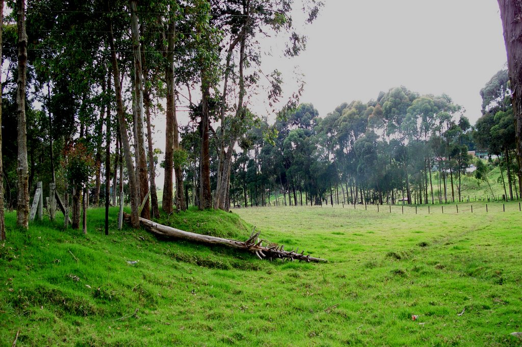 Paisaje Rioarriba by Carlos Alberto Valen…