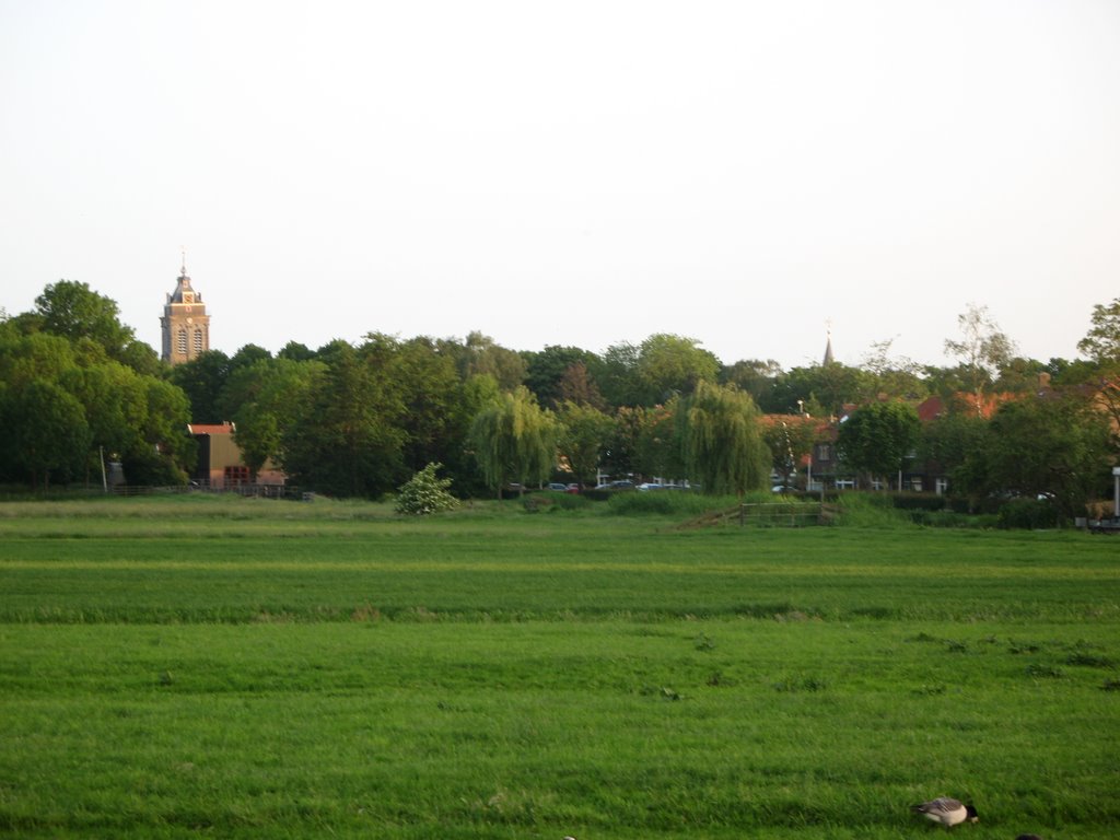 Schoonhoven grass fields Spring 2007 by kokomani