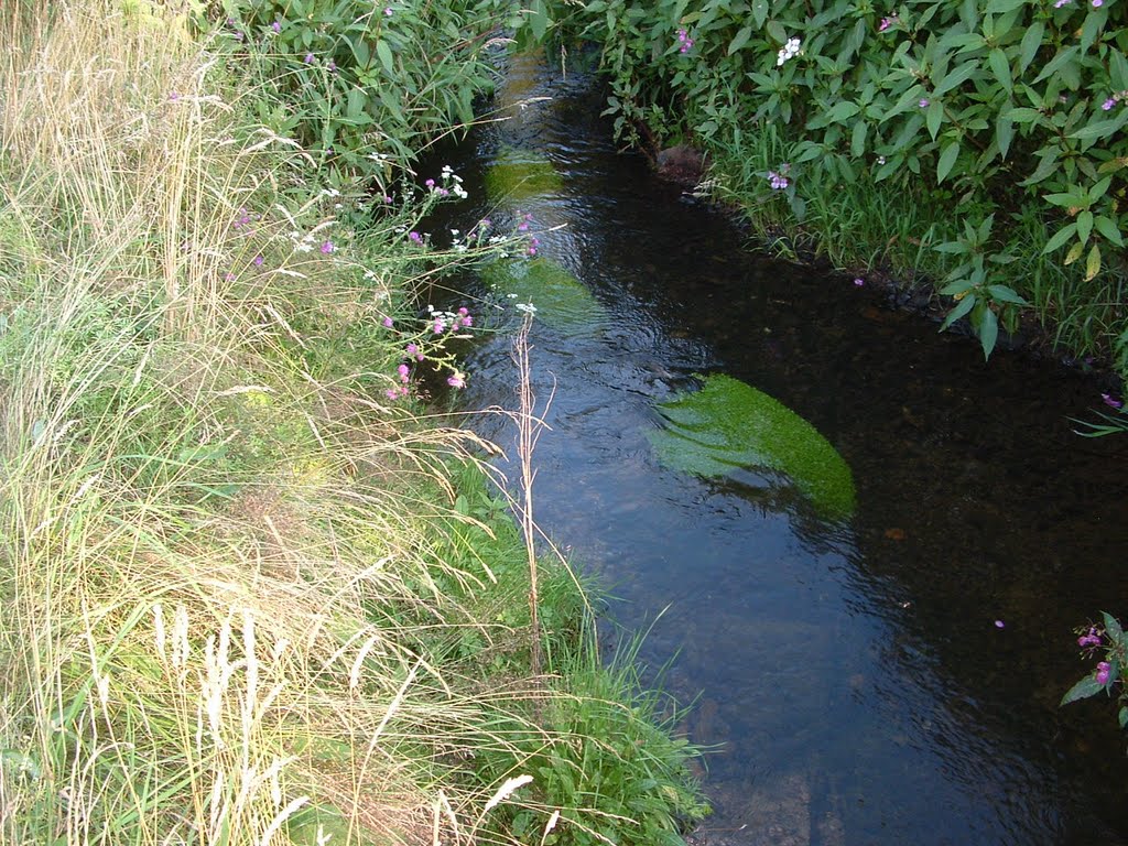 Rivier de Alf bij Bleialf by huub bos