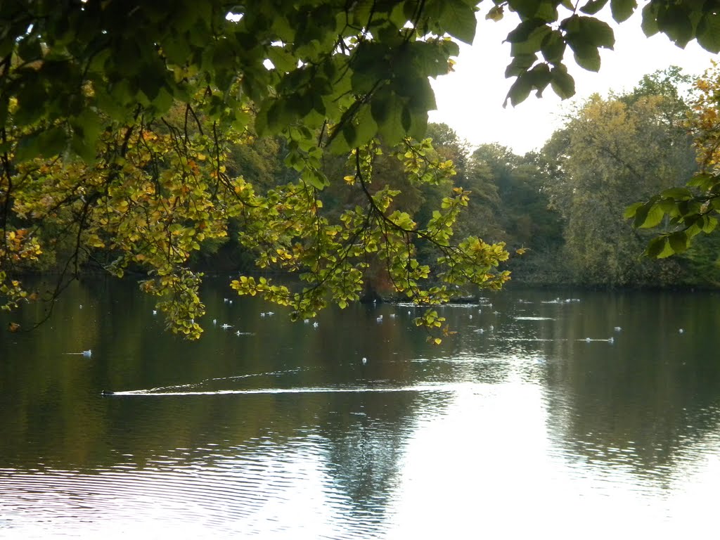 Parc de Tervuren by al1mg