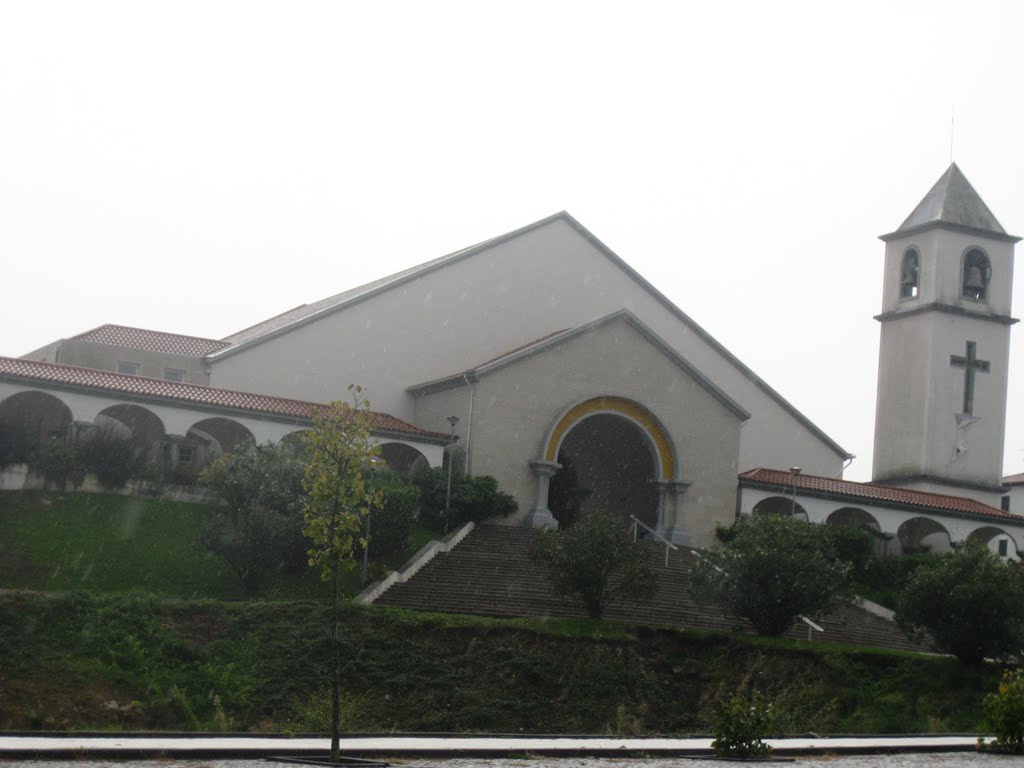 Igreja, Oliveira de Frades by AJFAlmeida