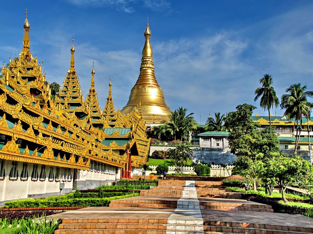 ShewDagon Pagoda in Yongon, Burma by Che Trung Hieu