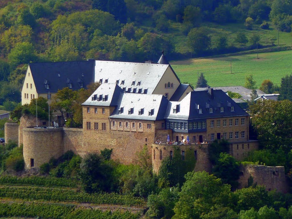 Blick vom Rheingrafenstein zur Ebernburg by giggel