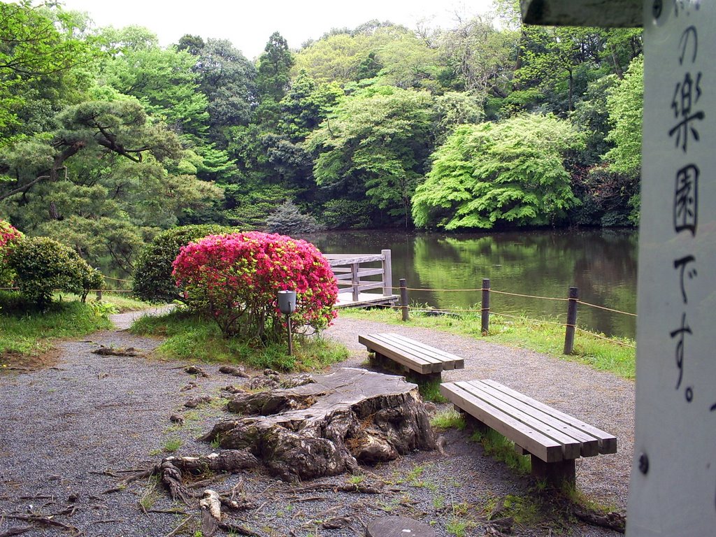 Meiji Gardens by pzglicz