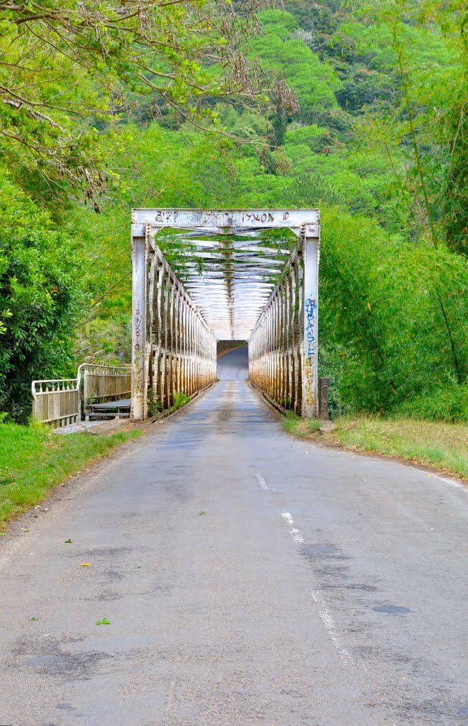 Le pont en allant vers Poindiimié by m-l.claude