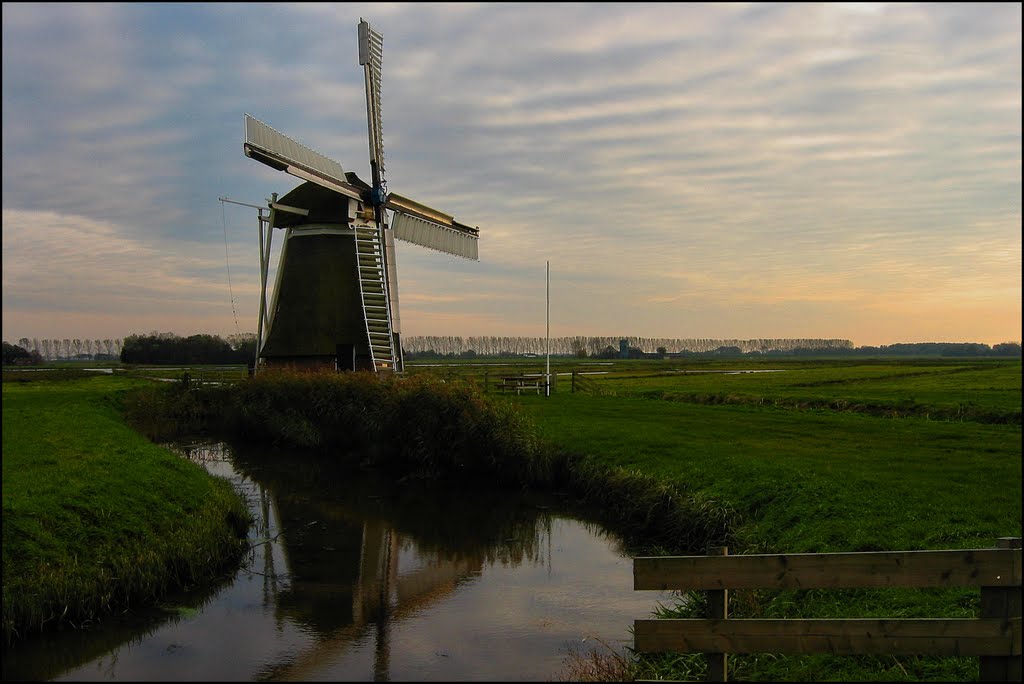 Meervogel in de avond by Teunis Haveman