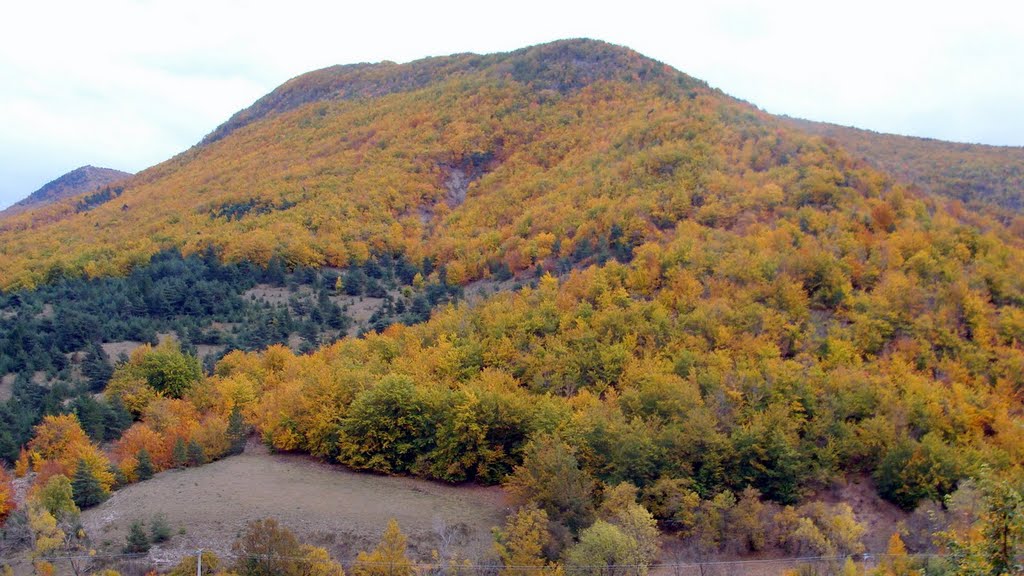 Sèderon - 26 - Col / de L'Homme Mort- .(27.10.2011.) by MAZELLIER.Maurice